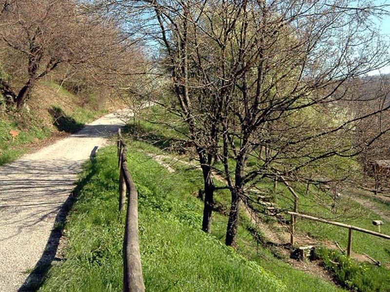 Boschi di Albenza a 600 metri s.l.m. nel comune di Almenno San Bartolomeo