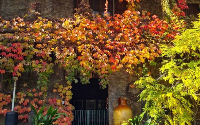 Locanda dell'Annunciata