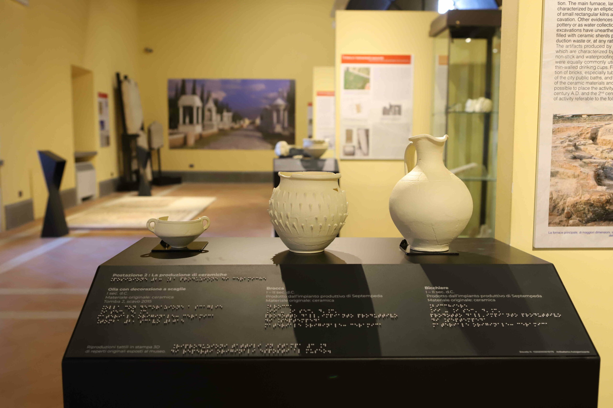 Collezione di farfalle italiane in teche illuminate