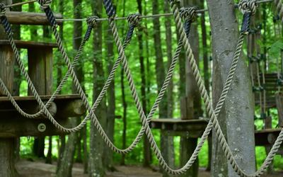 Zip-line tra i boschi di Roncola